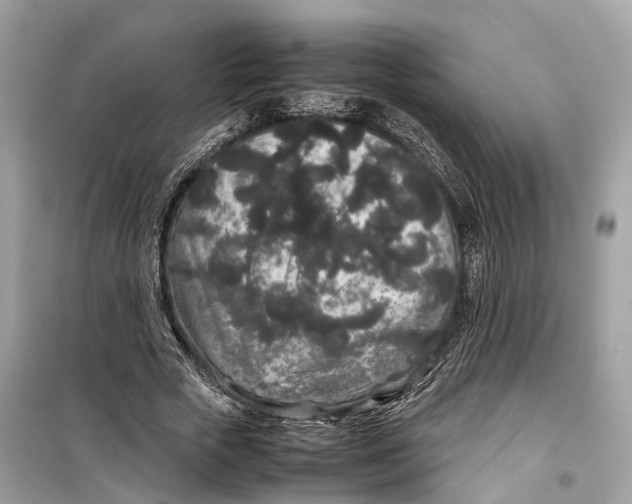 X0000099310729200805231403