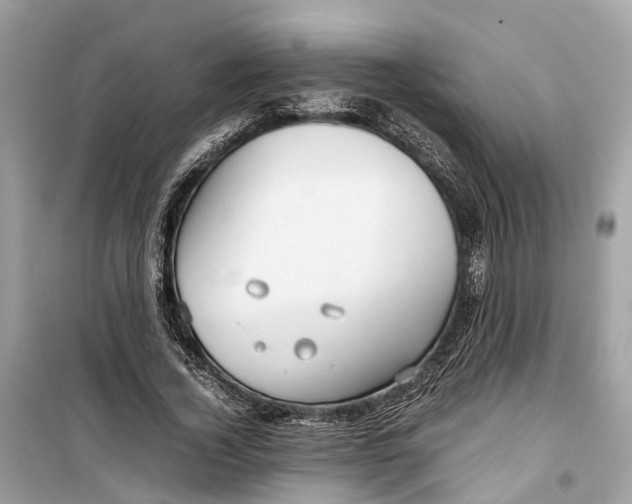 X0000099310732200805231403