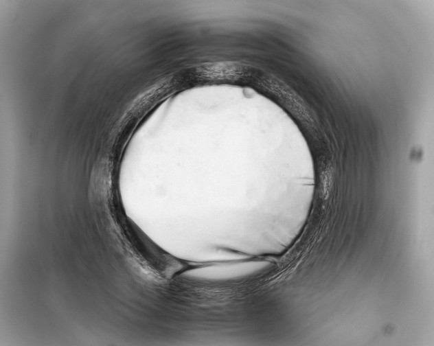 X0000099310733200805231403