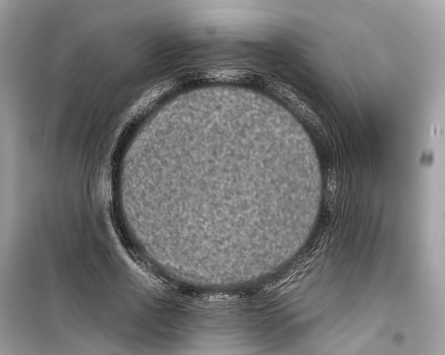 X0000099310734200805231403