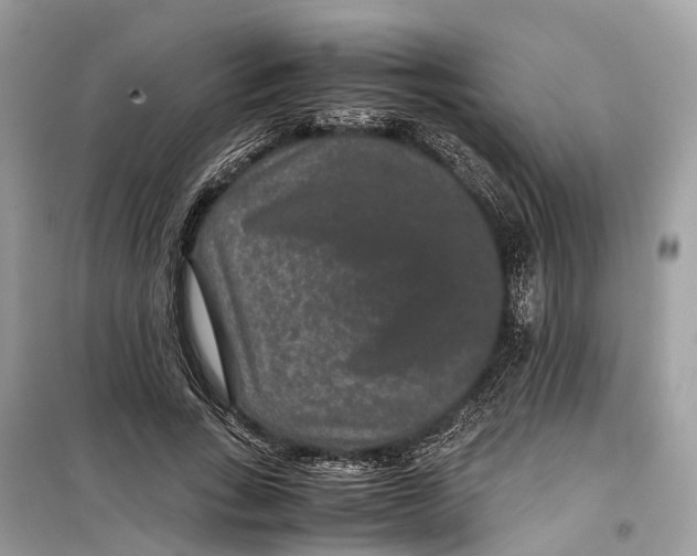 X0000099310735200805231403