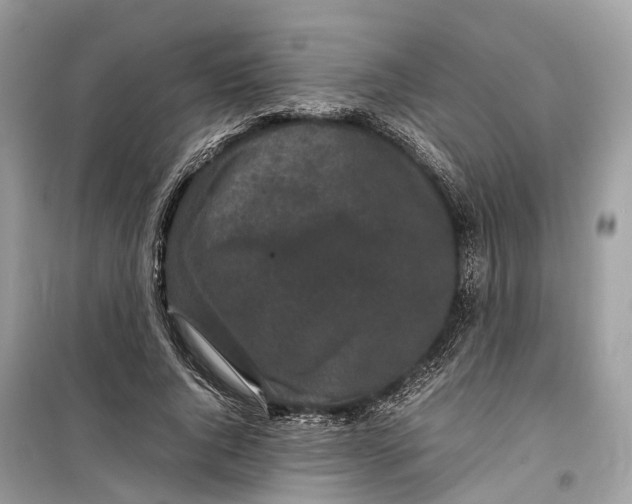 X0000099310736200805231403