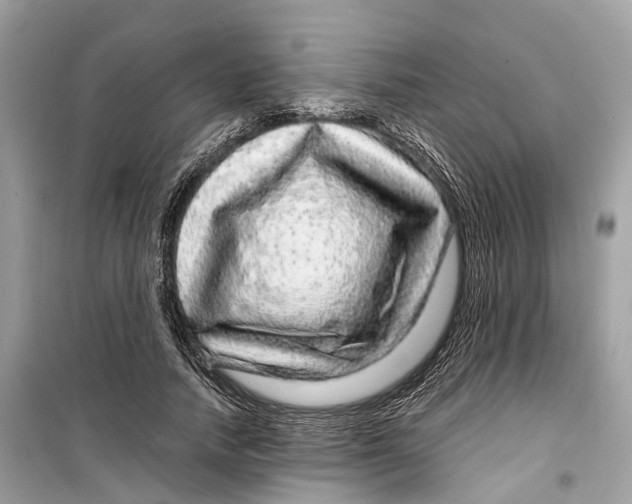 X0000099310738200805231403