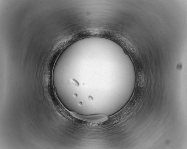 X0000099310740200805231403