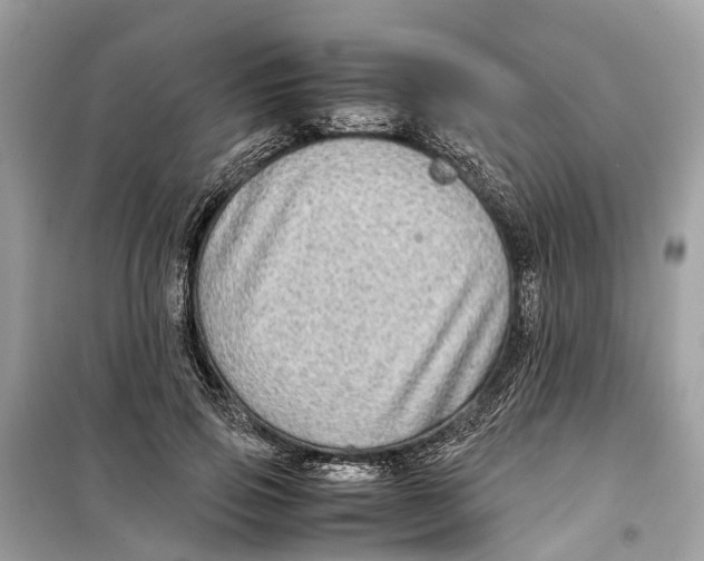 X0000099310741200805231403