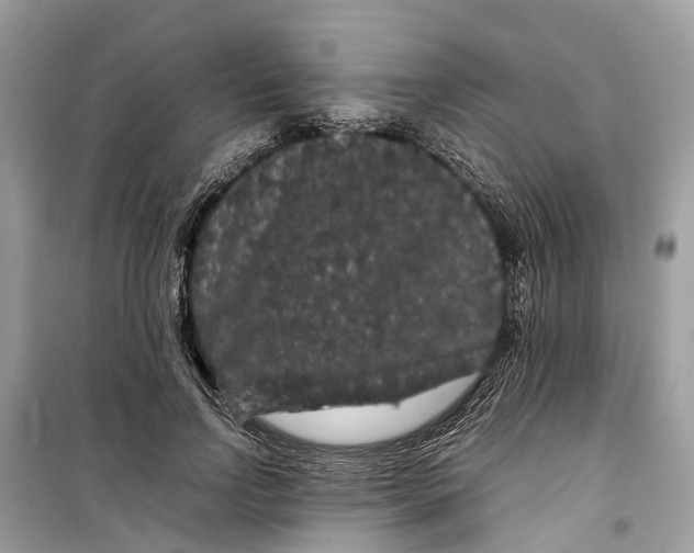 X0000099310742200805231403