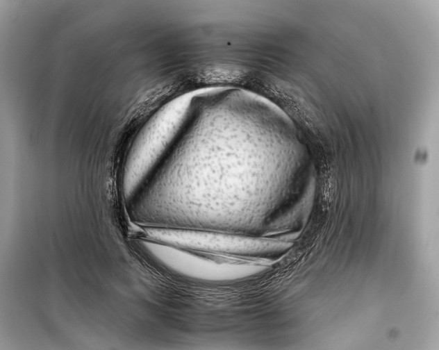 X0000099310743200805231403