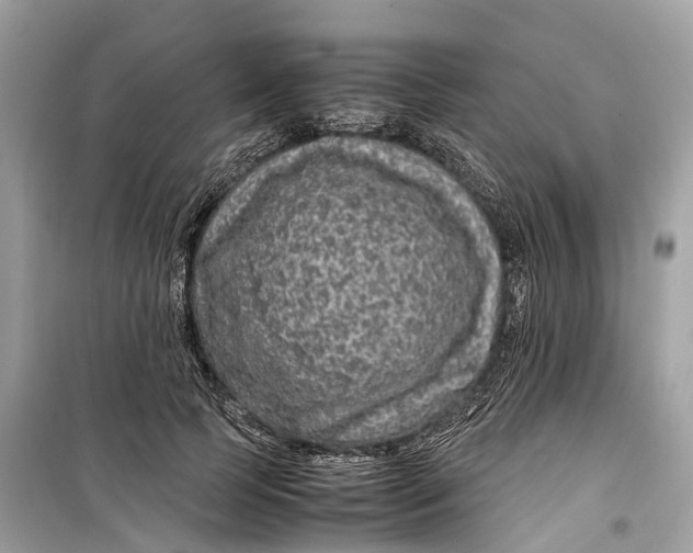 X0000099310745200805231403