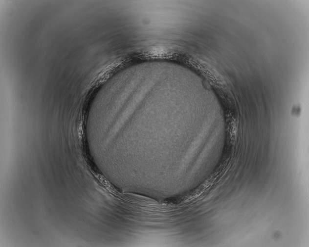 X0000099310746200805231403