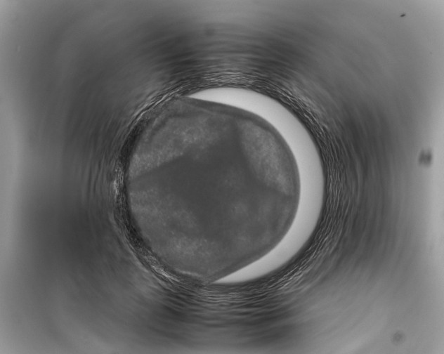 X0000099310747200805231403