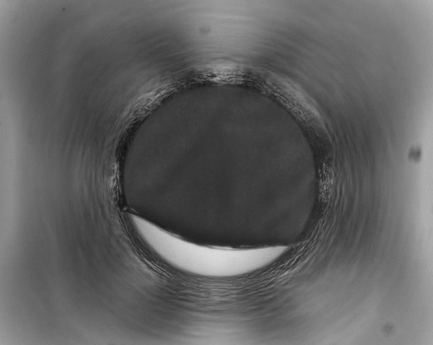 X0000099310748200805231403