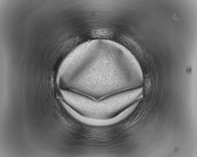 X0000099310749200805231403