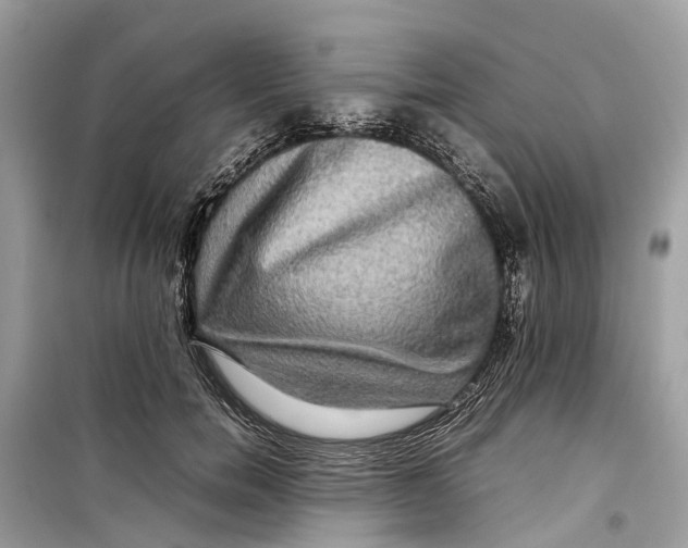 X0000099310750200805231403