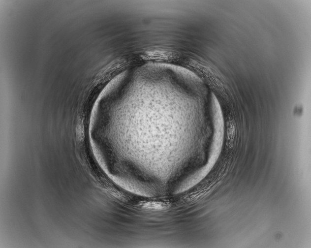 X0000099310751200805231403