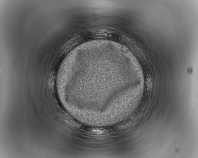 X0000099310753200805231403