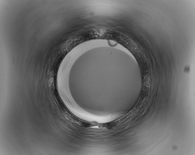 X0000099310754200805231403