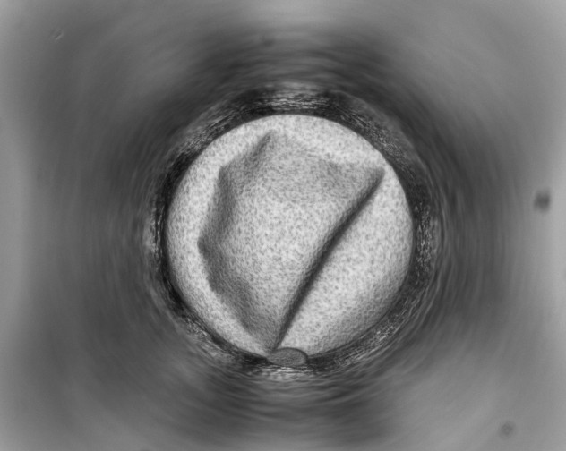 X0000099310755200805231403