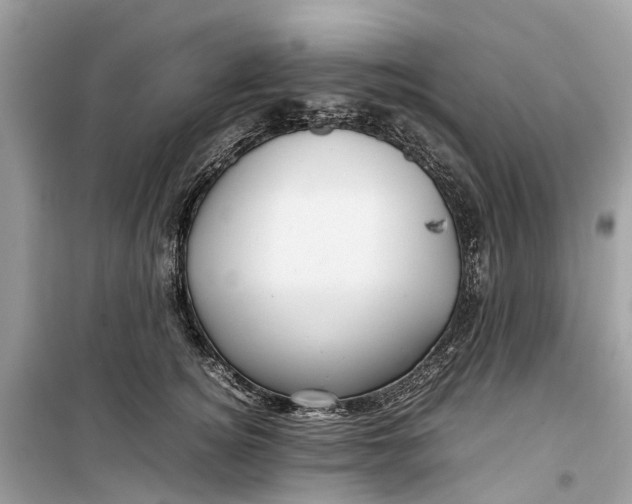 X0000099310756200805231403