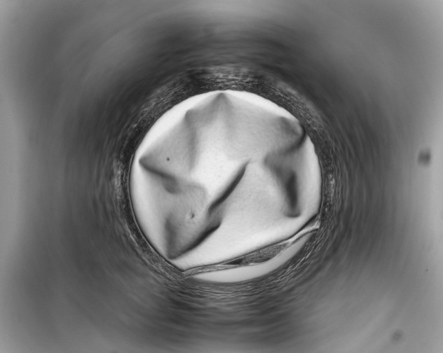 X0000099310757200805231403