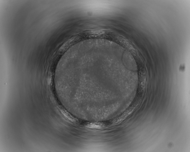 X0000099310758200805231403