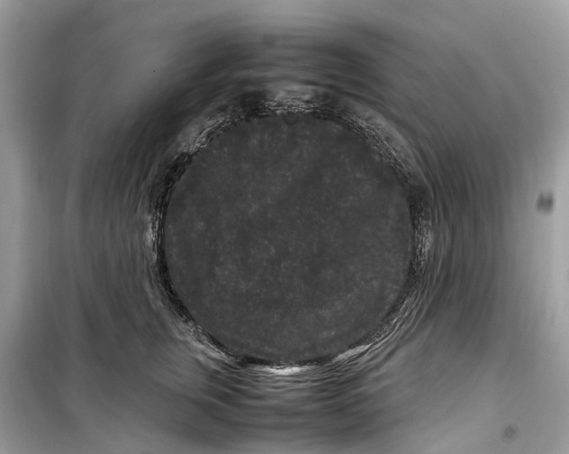 X0000099310759200805231403