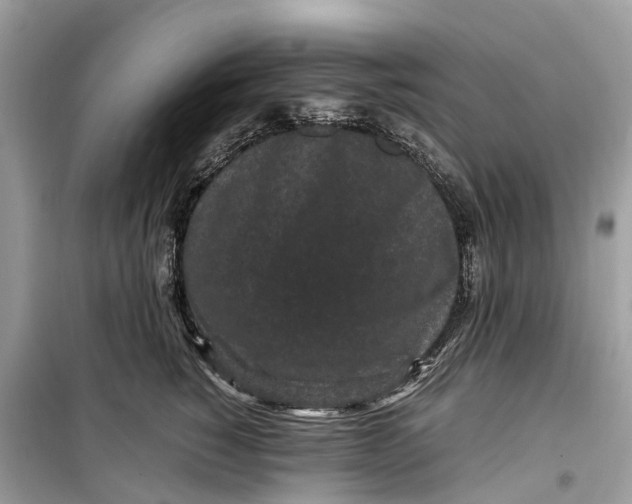 X0000099310760200805231403