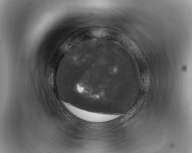 X0000099310762200805231403