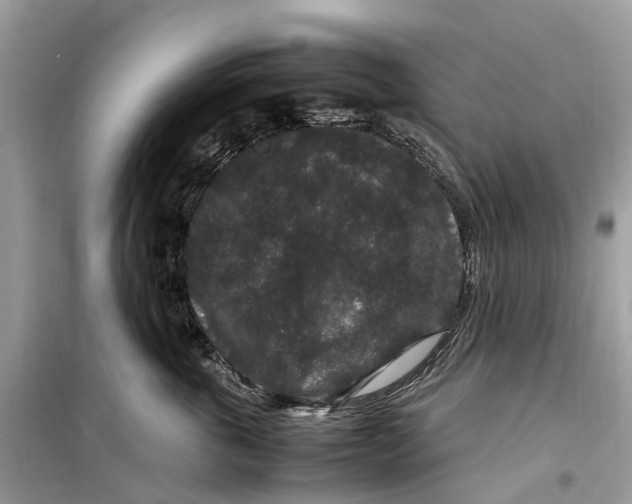 X0000099310763200805231403