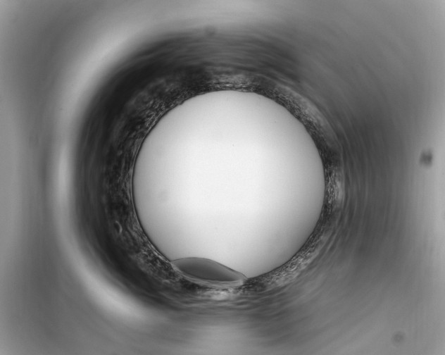 X0000099310764200805231403