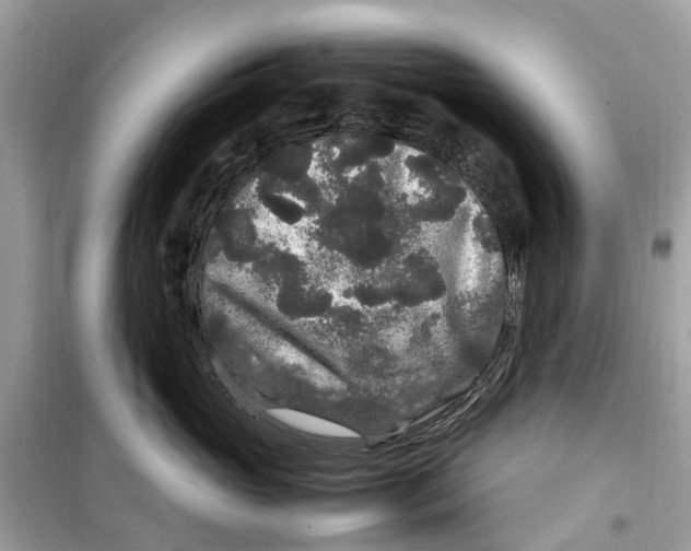 X0000099310765200805231403