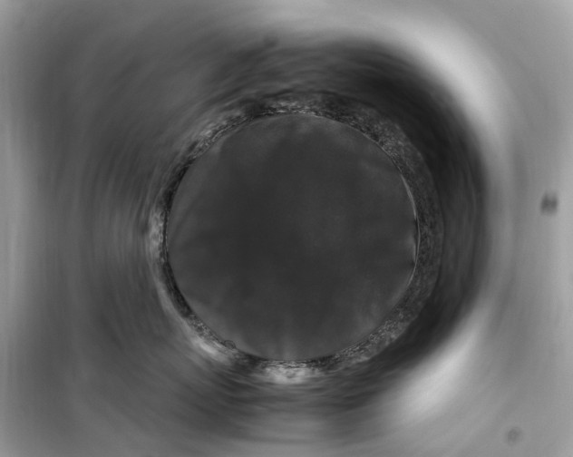 X0000099310767200805231403