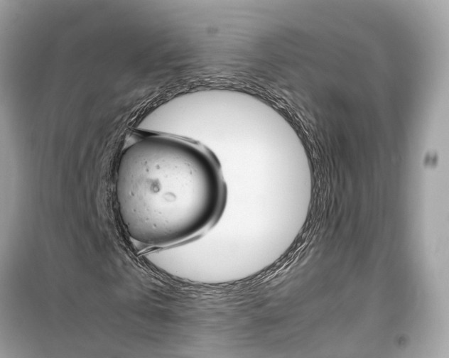 X0000099310769200805231402