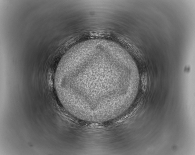 X0000099310770200805231402