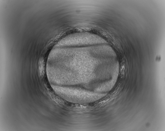 X0000099310772200805231402