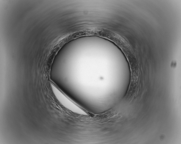 X0000099310773200805231402