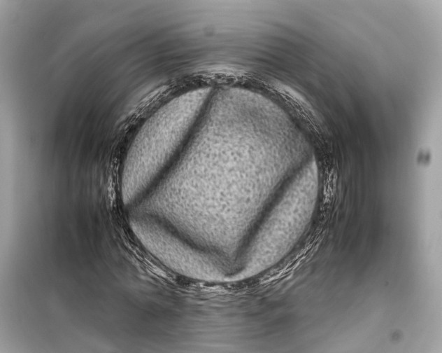 X0000099310774200805231402