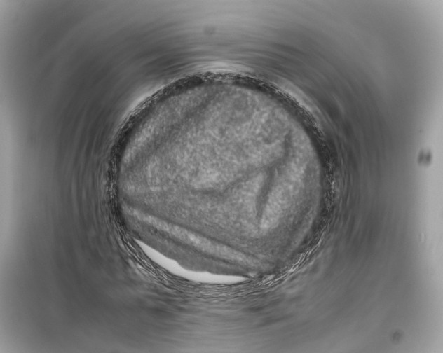 X0000099310775200805231402