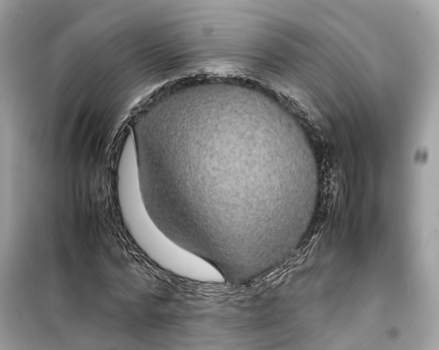 X0000099310776200805231402