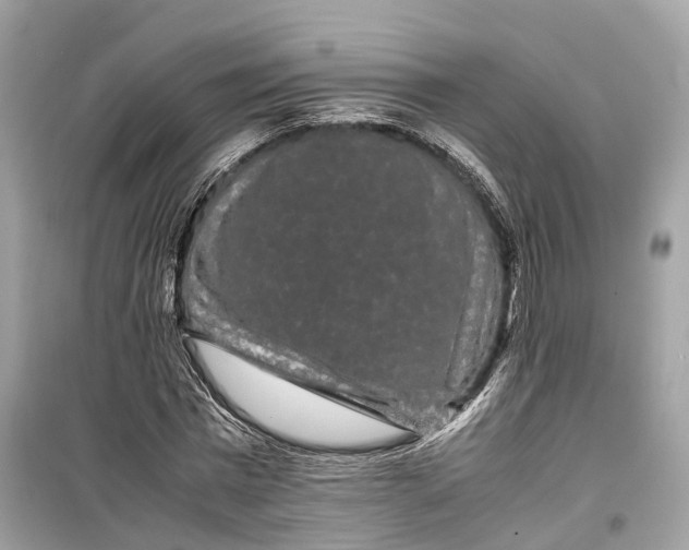 X0000099310777200805231402