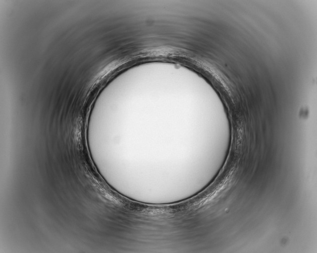 X0000099310778200805231402