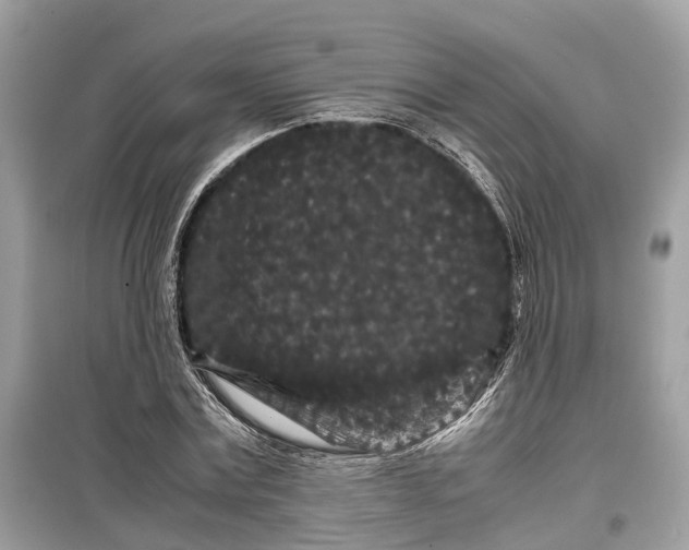 X0000099310779200805231402