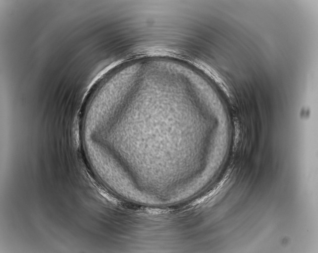 X0000099310782200805231402