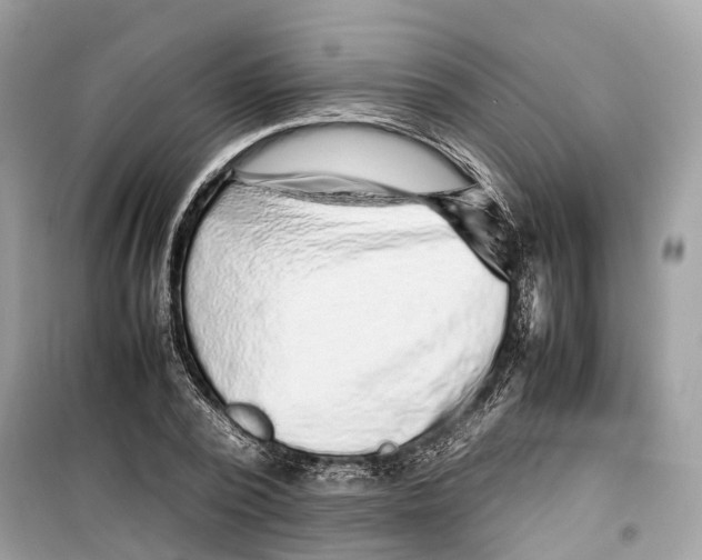 X0000099310784200805231402