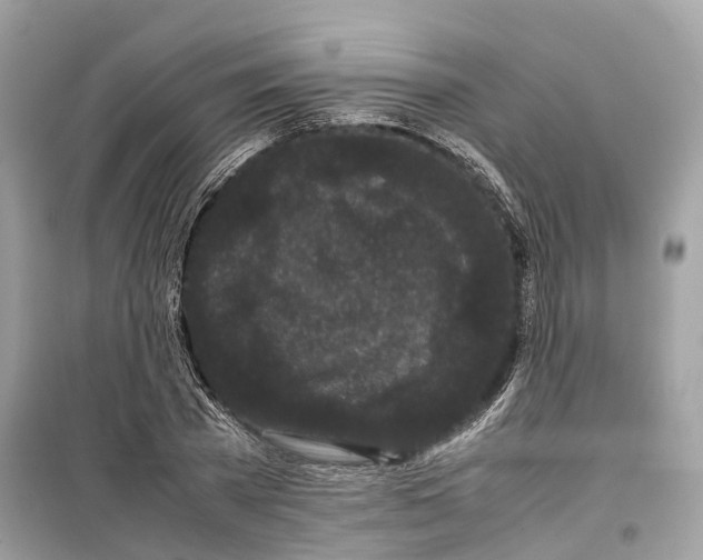 X0000099310785200805231402