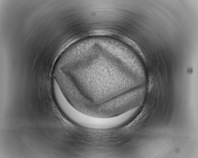 X0000099310786200805231402