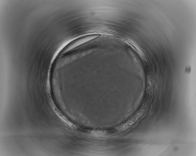 X0000099310788200805231402