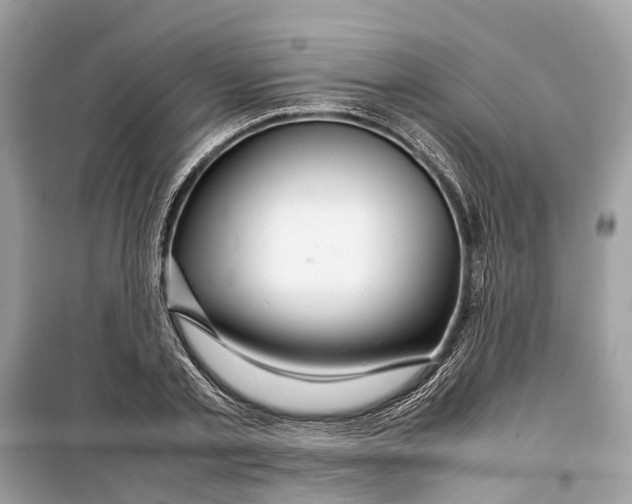 X0000099310789200805231402