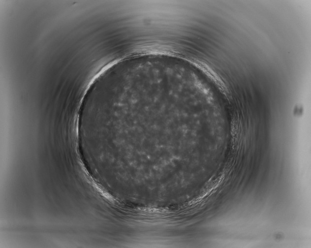 X0000099310790200805231402