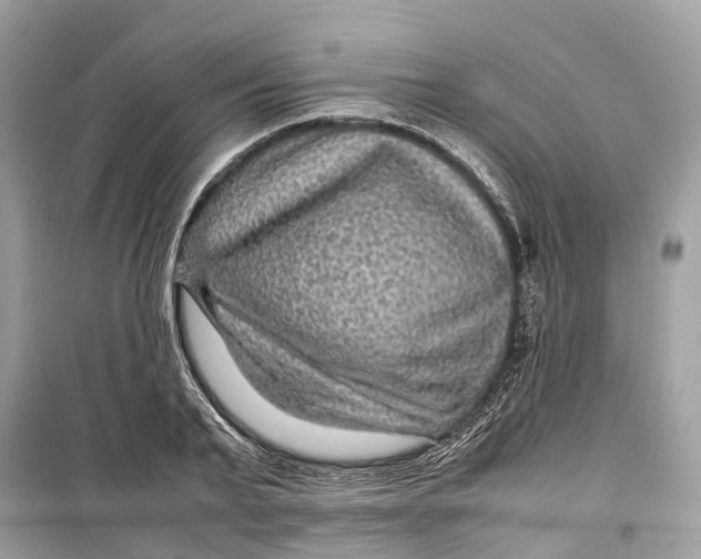 X0000099310791200805231402