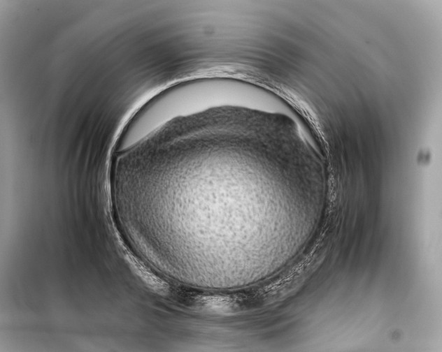 X0000099310792200805231402